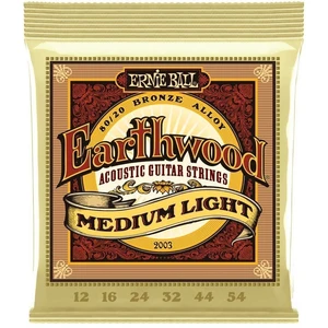 Ernie Ball 2003 Earthwood