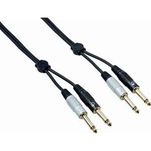 Bespeco EA2J300 3 m Kabel Audio