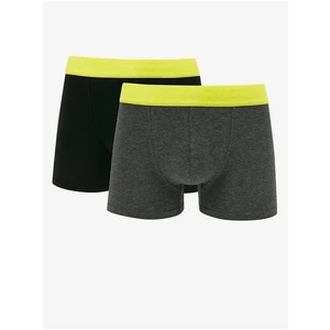 Set of two men's boxers in black and dark grey Replay - Men