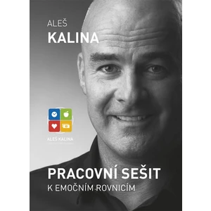 Pracovní sešit k emočním rovnicím - Aleš Kalina