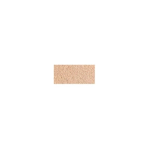 L´Oréal Paris Make-up v pudru Infaillible 24H Fresh Wear (Foundation in a Powder) 9 g 40 Cashmere