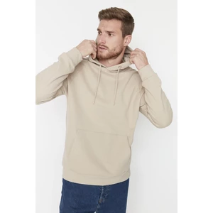 Trendyol Sweatshirt - Beige - Regular fit