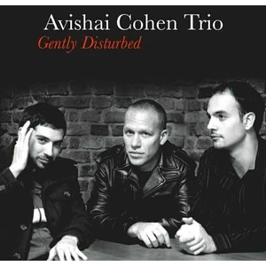 Avishai Cohen - Gently Disturbed (LP)