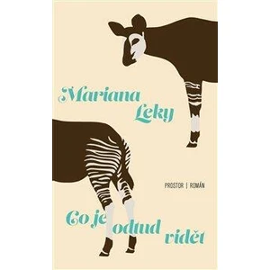 Co je odtud vidět - Mariana Leky