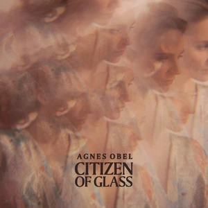 Agnes Obel Citizen of Glass (2 LP)