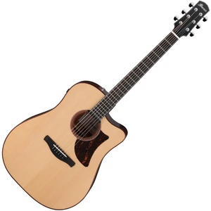 Ibanez AAD300CE-LGS