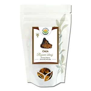 Salvia Paradise Čaga - Chaga - Rezavec šikmý 50 g