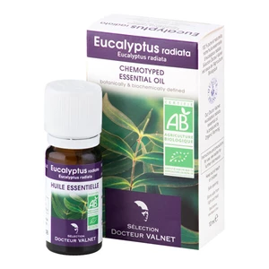 Éterický olej eukalyptus radiata 10 ml BIO   DOCTEUR VALNET