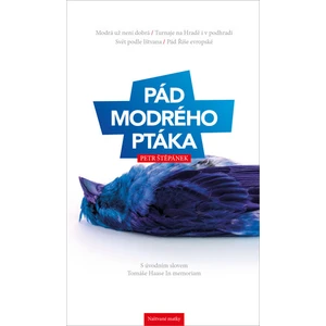 Pád modrého ptáka - Štěpánek Petr