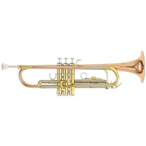 Roy Benson TR-202G Bb Trompete