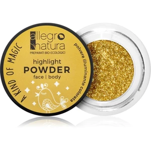 Allegro Natura A Kind of Magic rozjasňující pudr na obličej a oči Starry Gold 1,5 g