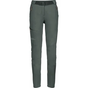 Jack Wolfskin Outdoorové nohavice Ziegspitz Pants W Slate Green S/M