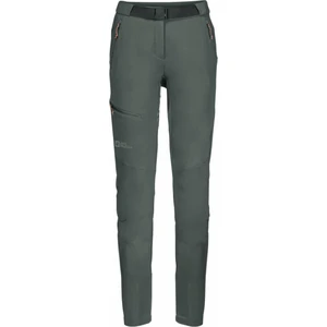 Jack Wolfskin Nadrág Ziegspitz Pants W Slate Green S/M