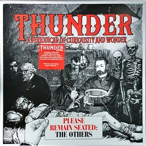 Thunder RSD - Please Remain Seated - The Others (LP) Limitovaná edícia