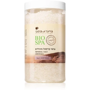 Sea of Spa Bio Spa minerálna soľ do kúpeľa z Mŕtveho mora 1000 g