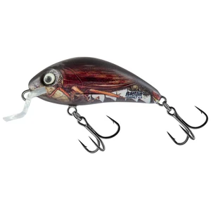 Salmo wobler rattlin’ hornet shallow real cockchafer - 3,5 cm - 3 g