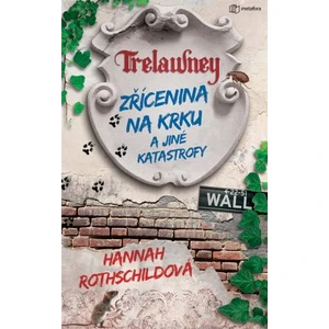 Zřícenina na krku a jiné katastrofy - Hannah Rothschildová