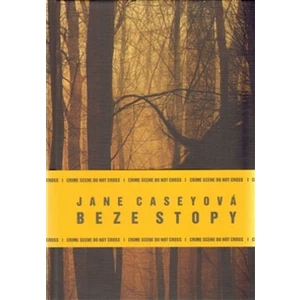 Beze stopy - Jane Caseyová