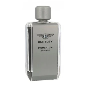 Bentley Momentum Intense parfumovaná voda pre mužov 100 ml