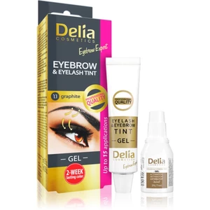 Delia Cosmetics Eyebrow Expert farba na obočie a mihalnice s aktivátorom odtieň 1.1. Graphite 2 x 15 ml