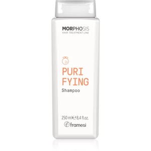 Framesi Morphosis Purifying čisticí šampon proti lupům 250 ml