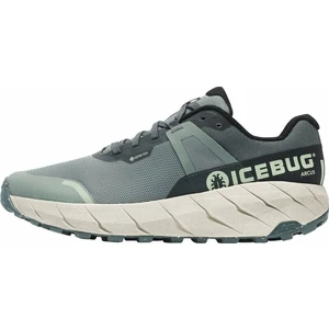 Icebug Arcus Womens RB9X GTX Green/Stone 38