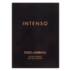 DOLCE & GABBANA - Pour Homme Intenso - Parfémová voda