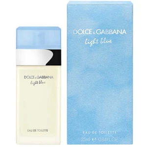 Dolce Gabbana Light Blue dámská toaletní voda 100 ml