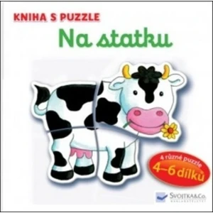 Kniha s puzzle - Na statku - Bruggemann Vera