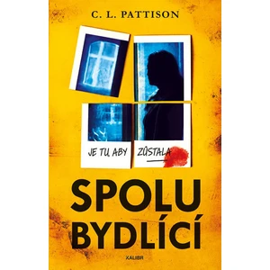 Spolubydlící - Pattison C. L.