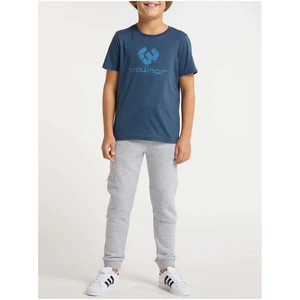 Dark Blue Boys T-Shirt Ragwear Cheero - Boys