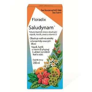 SALUS Floradix Saludynam