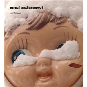 Zimní království - Malijevský Igor