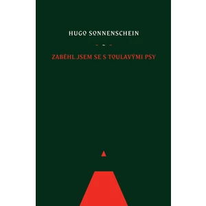 Zaběhl jsem se s toulavými psy - Hugo Sonnenschein