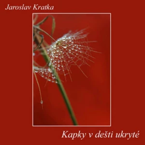 Kapky v dešti ukryté - Kratka Jaroslav