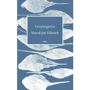 Via purgativa - Vilímek Marek Jan