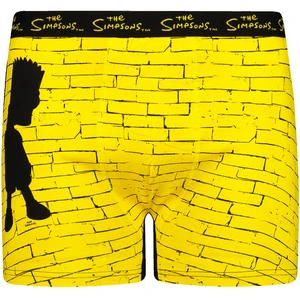 Boxer da uomo Character Simpsons 1P