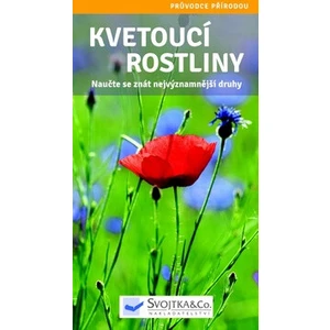 Kvetoucí rostliny