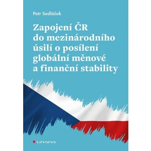 Zapojení ČR do mezinárodního úsilí o posílení globální měnové a finanční stability, Sedláček Petr