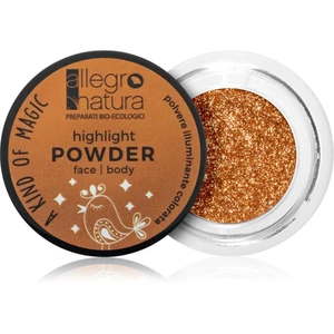 Allegro Natura A Kind of Magic rozjasňující pudr na obličej a oči 01 Bronze 1,5 g