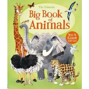 Big Book Of Big Animals - Maskell Hazel
