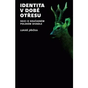 Identita v době otřesu - Jiřička Lukáš [E-kniha]