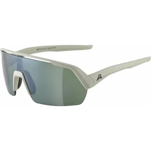 Alpina Turbo HR Q-Lite Cool/Grey Matt/Silver Gafas deportivas