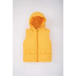 DEFACTO Baby Boy Hooded Vest