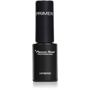 Pierre René Nails Hybrid přípravek k odmaštění a vysušení nehtu 6 ml