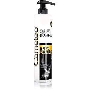 Delia Cosmetics Cameleo BB keratinový šampon pro poškozené vlasy 250 ml