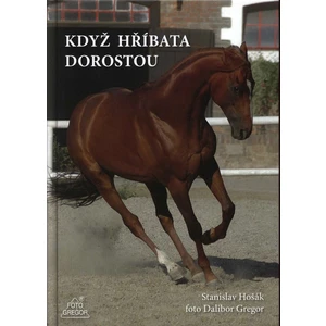 Když hříbata dorostou - Dalibor Gregor, Hošák Stanislav