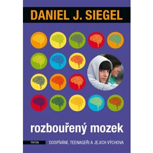 Rozbouřený mozek - Daniel J. Siegel