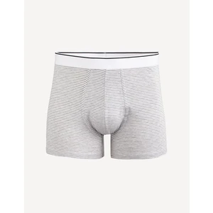 Celio Mitch Premium Cotton Boxers - Men