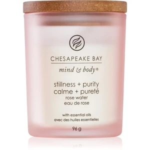 Chesapeake Bay Candle Mind & Body Stillness & Purity vonná svíčka 96 g